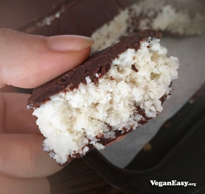 Raw Bounty Bar Vegan Easy